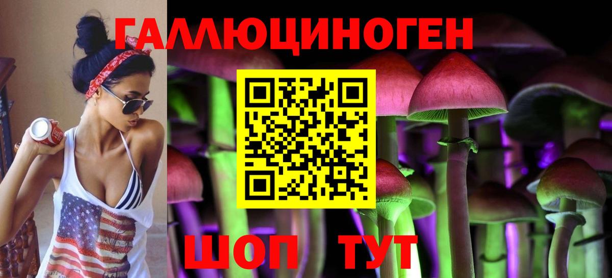 Галлюциногенные грибы MAGIC MUSHROOMS  Вход с VPN  Новоалтайск  сколько стоит  Галлюциногенные грибы Psilocybine cubensis 